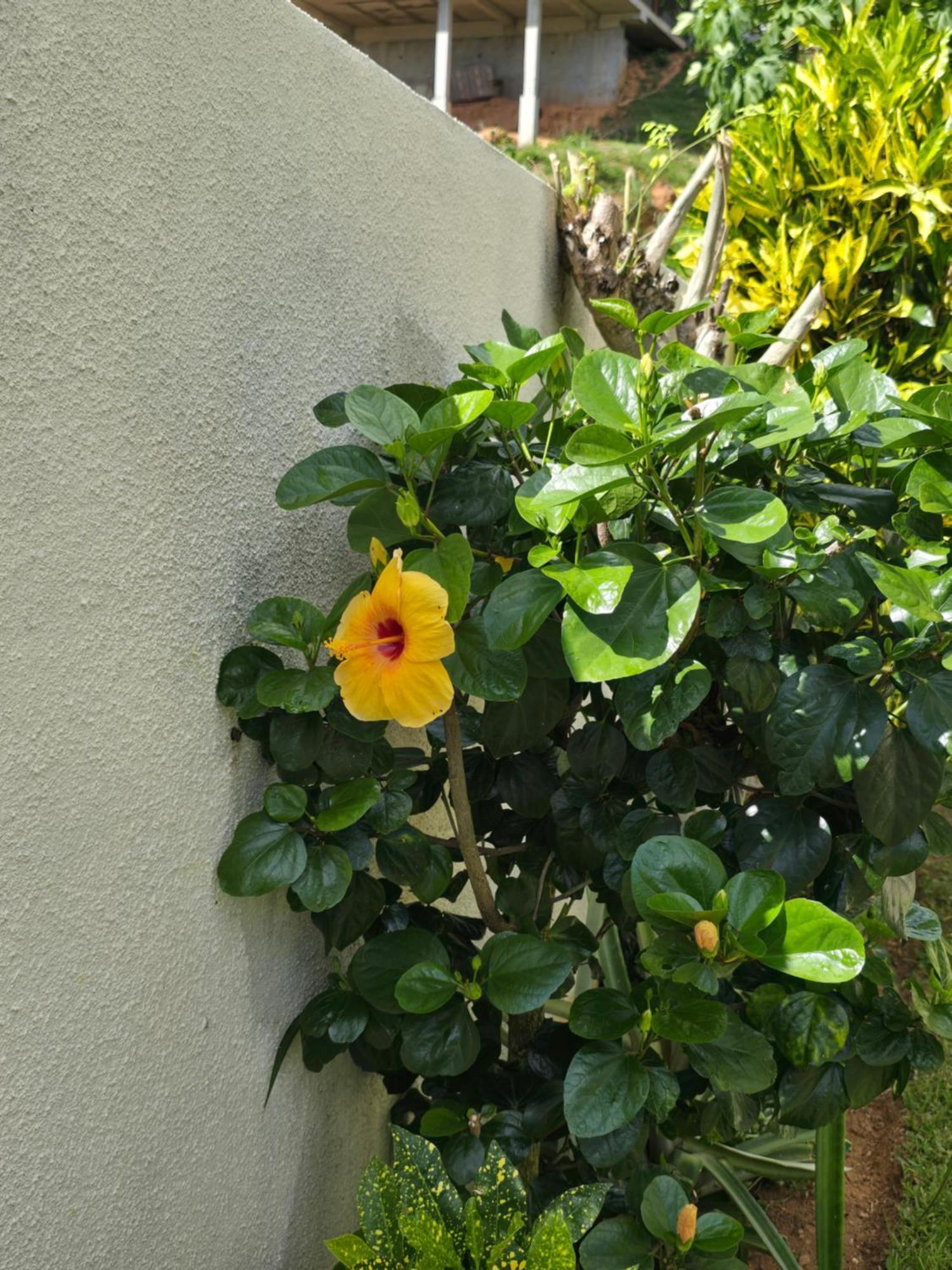 Emma'S Guest House And Self-Catering Au Cap Ngoại thất bức ảnh