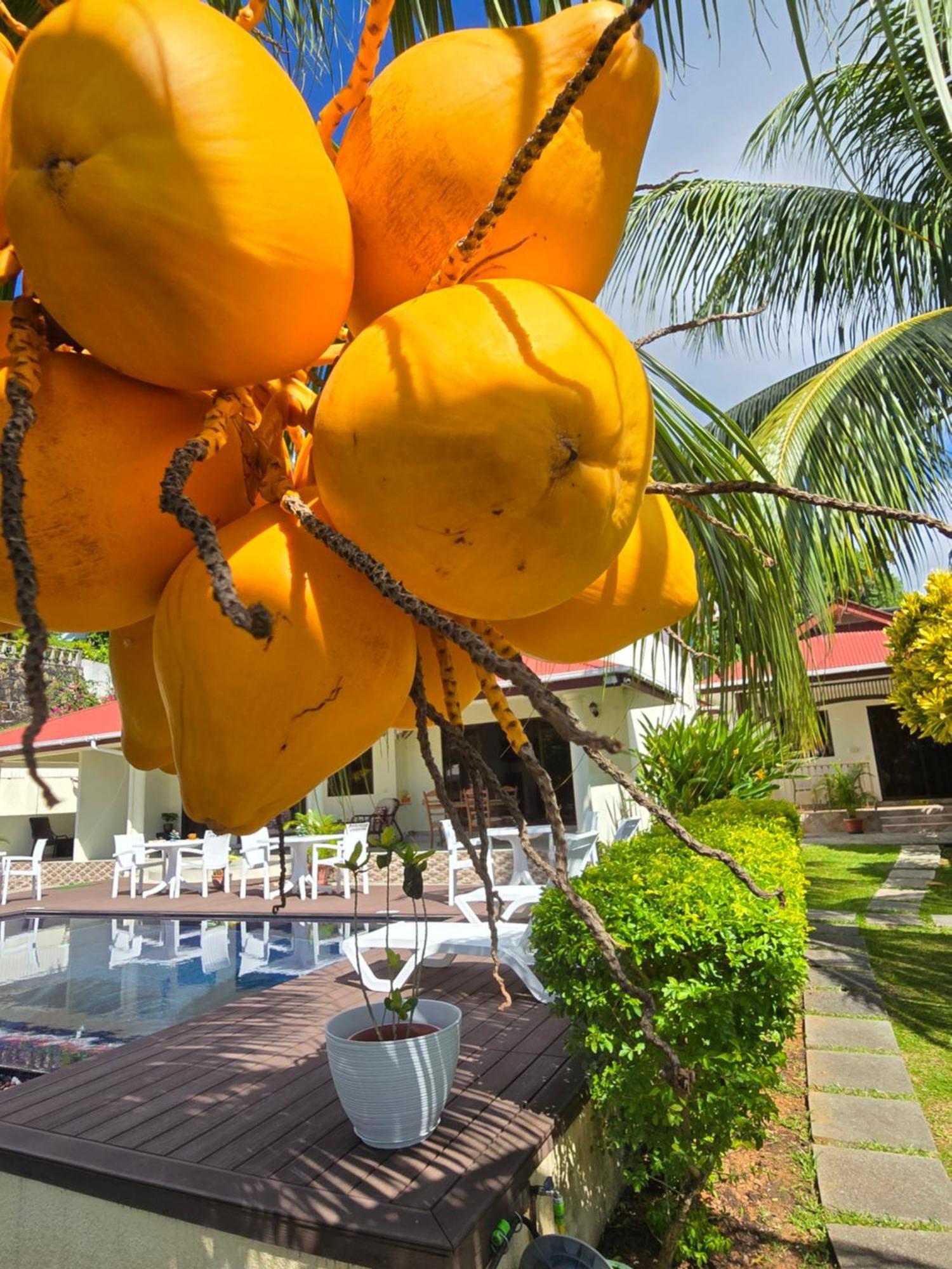 Emma'S Guest House And Self-Catering Au Cap Ngoại thất bức ảnh