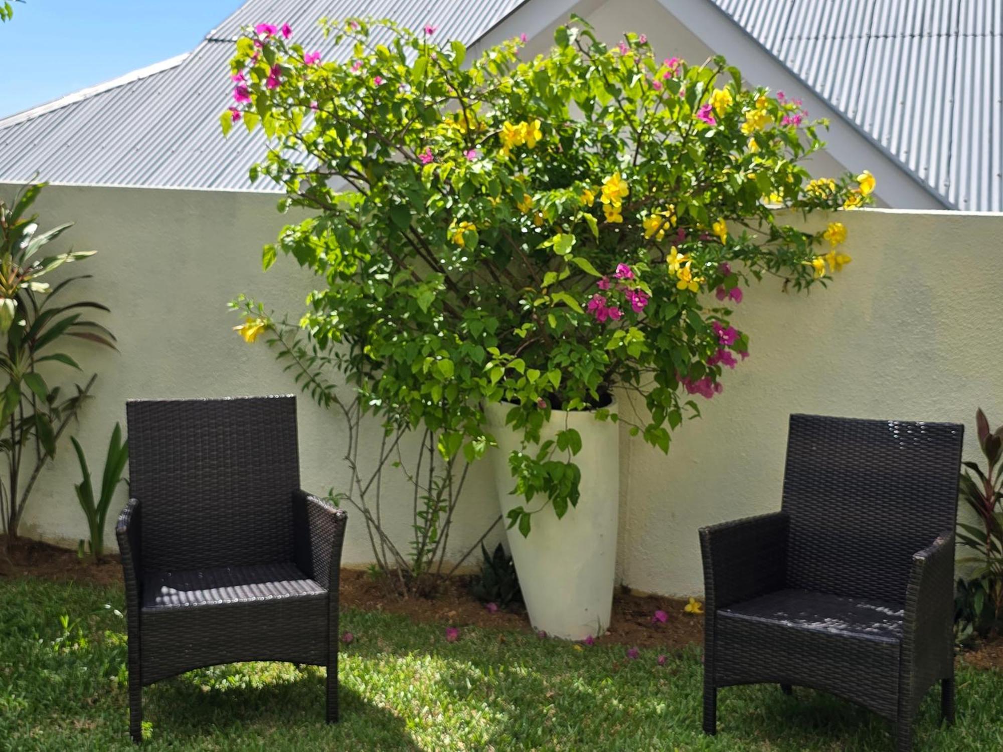 Emma'S Guest House And Self-Catering Au Cap Ngoại thất bức ảnh